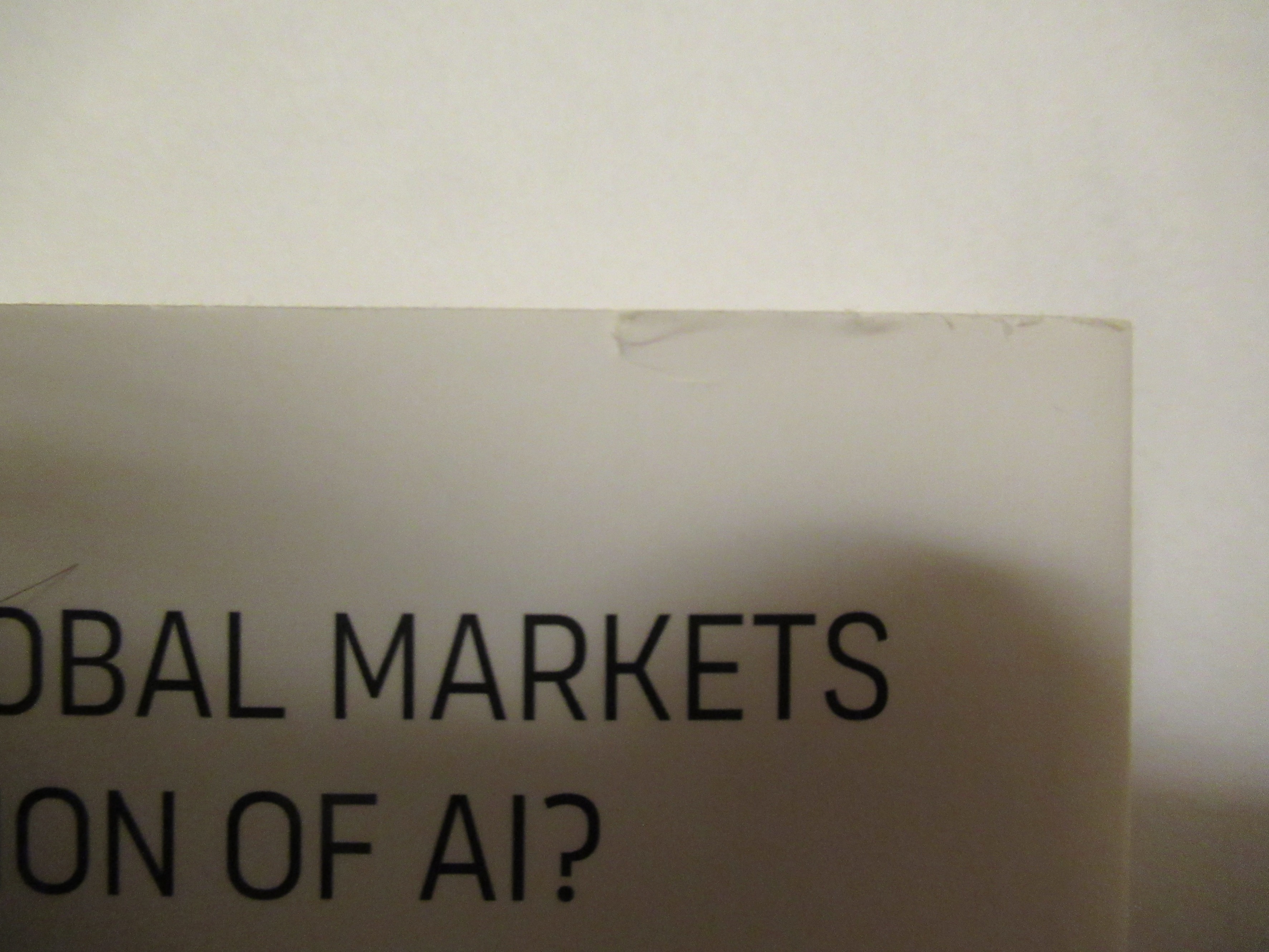damage to MoneyGPT book