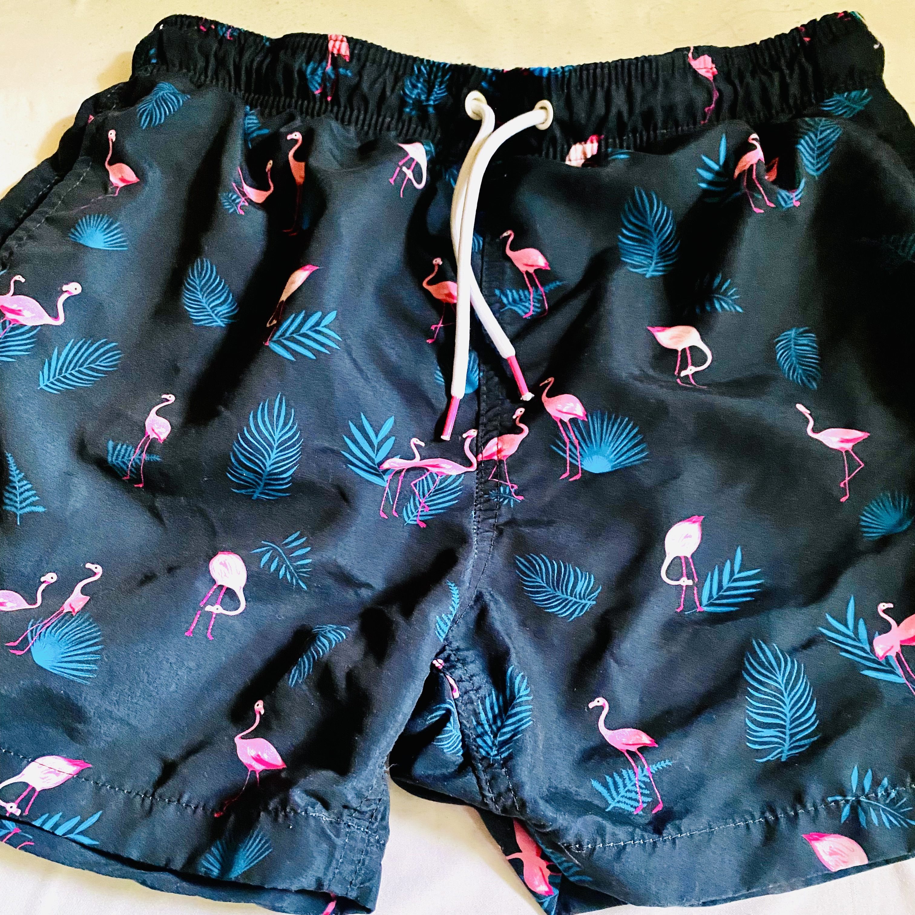 older pair of board shorts I bought, front view