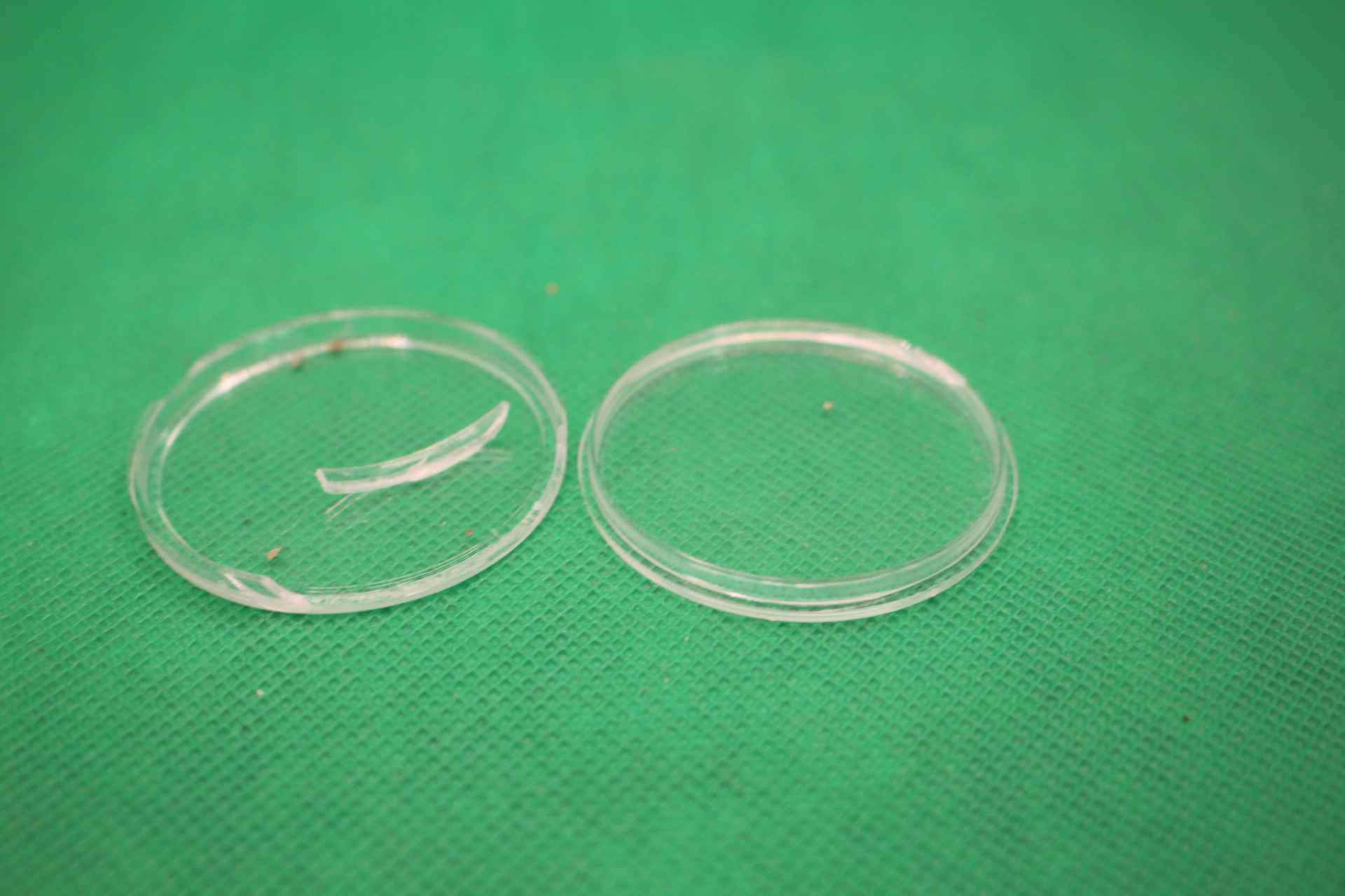 USA 250 year anniversary coin design broken casing