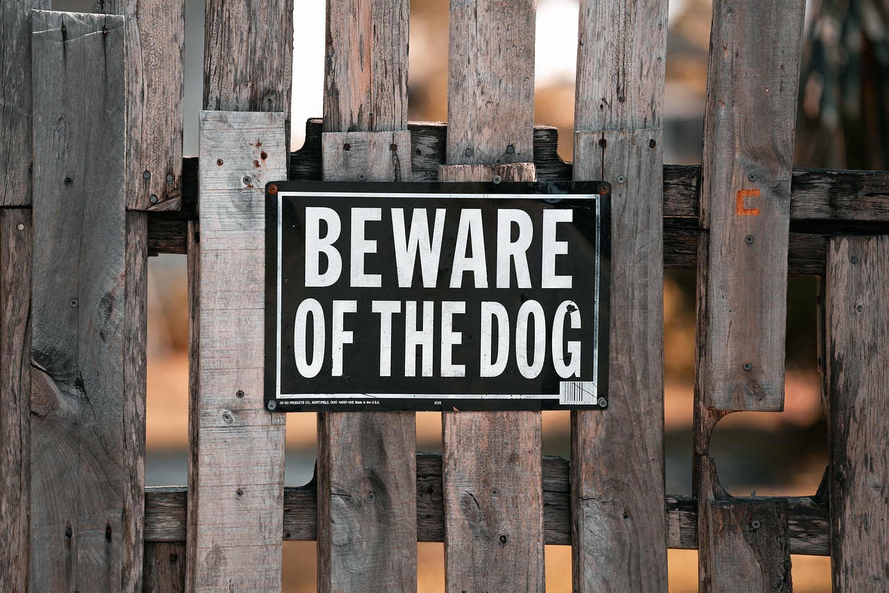 Beware of the Dog sign