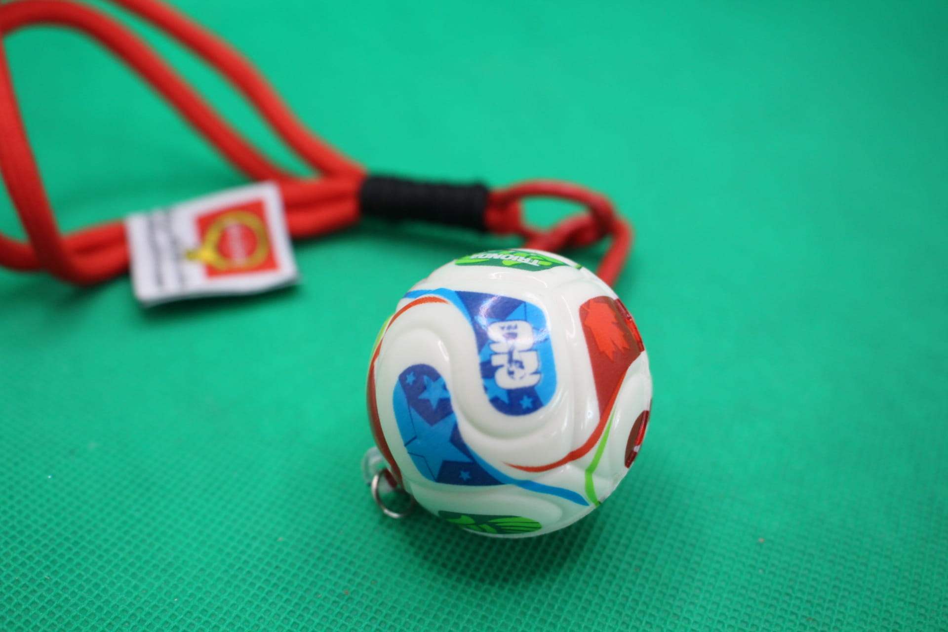 FIFA World Cup 2026 ball keychain, soccer ball focus, blue FIFA 2026 logo section