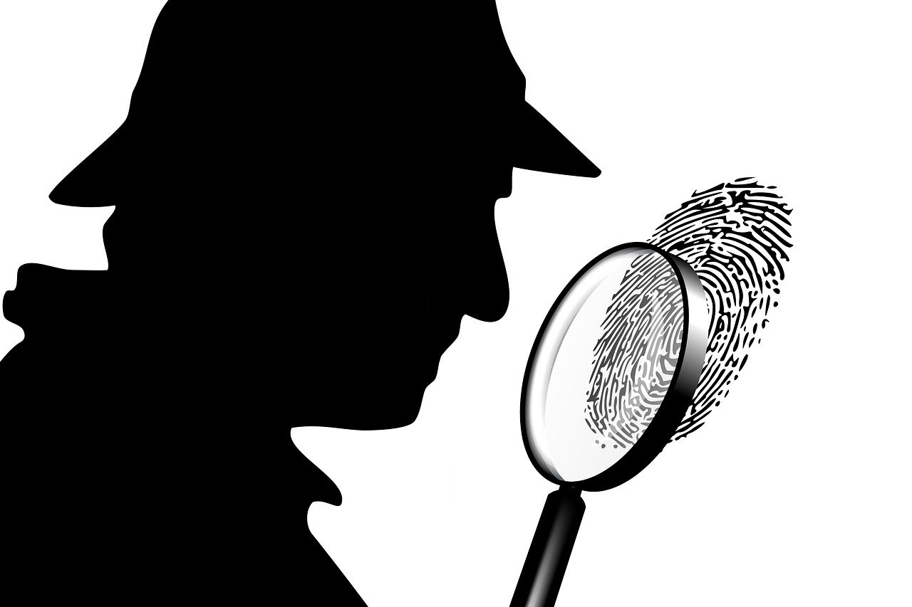 criminal investigation
